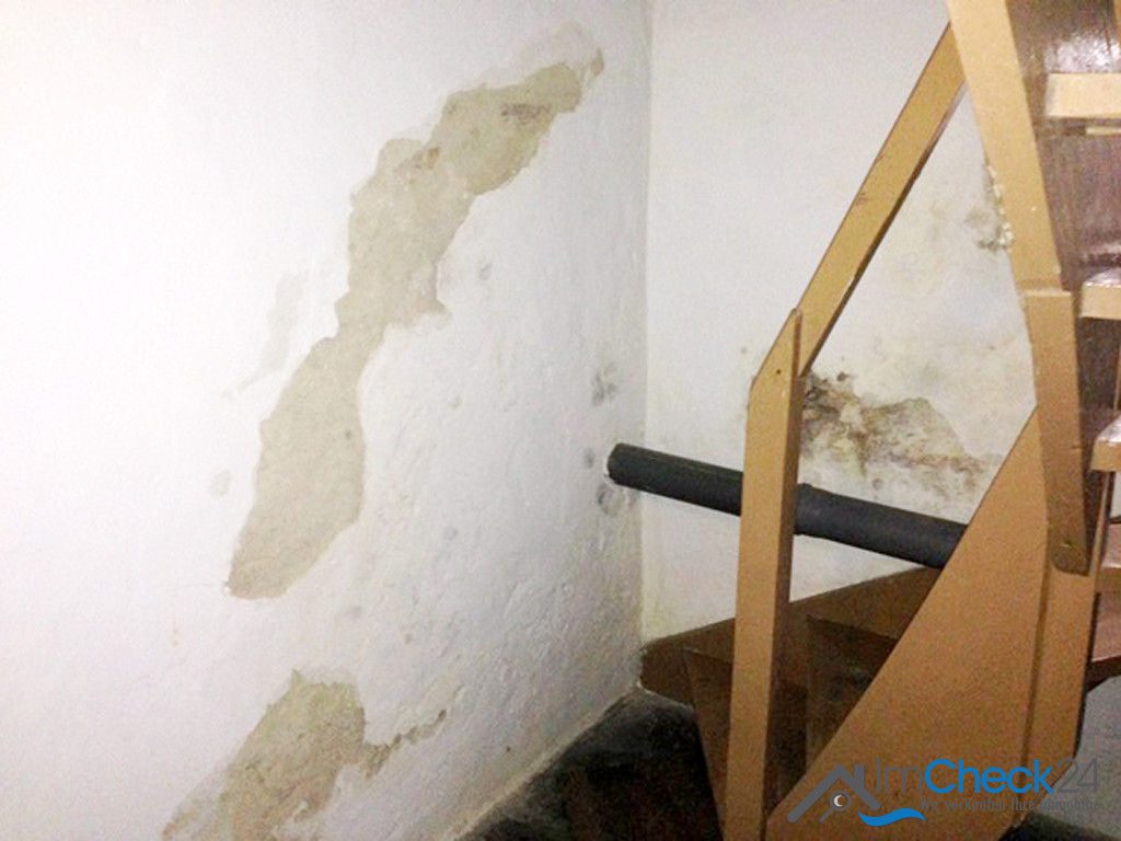 Feuchte Kellerwand